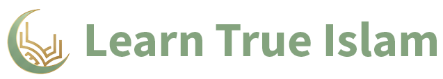 Learn True Islam Logo
